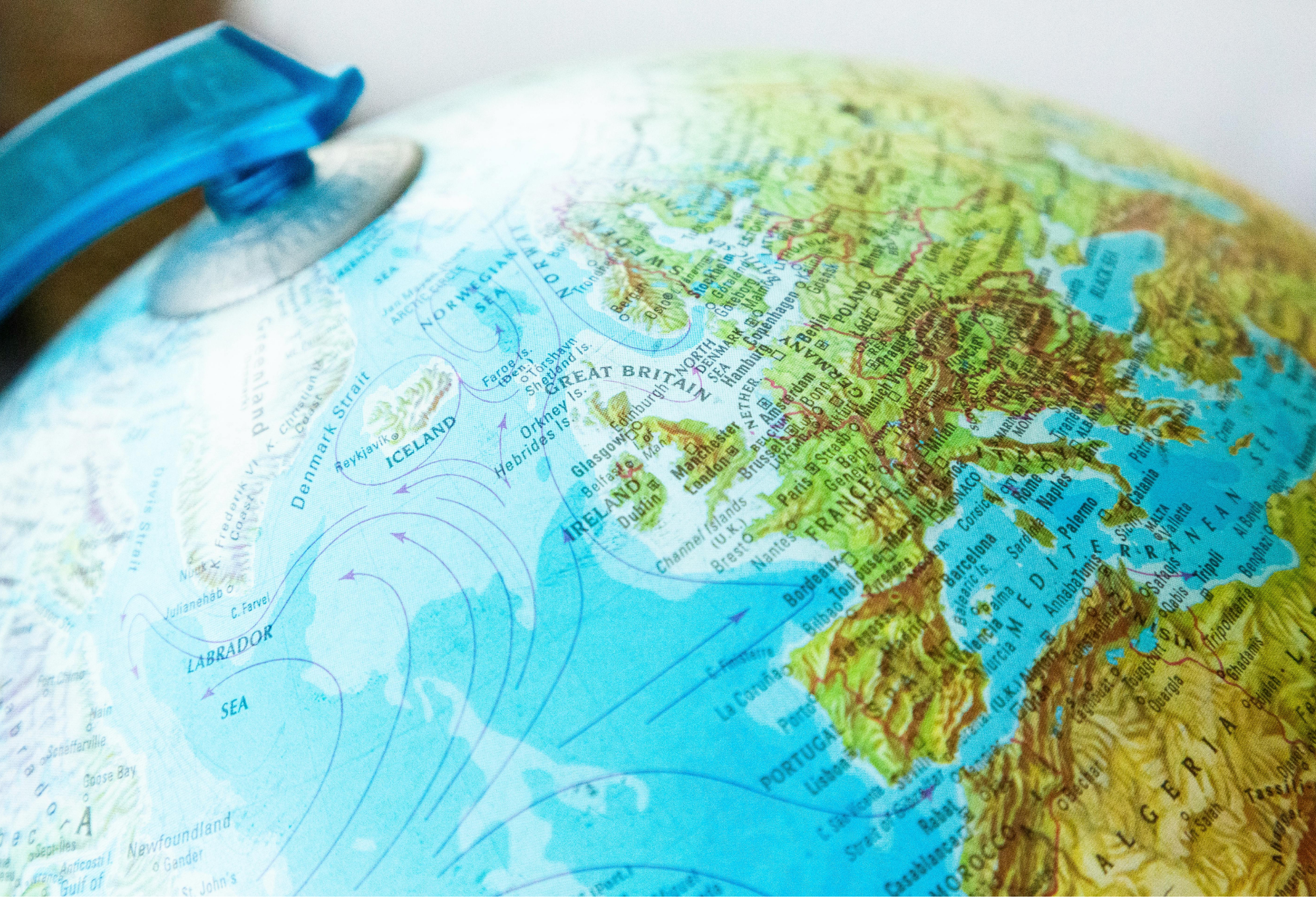 Inside AlertHub: What It’s Really Like to Report Environmental Crises